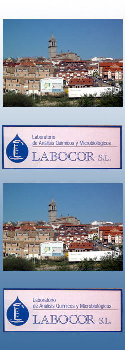 LabocorCompoContacto